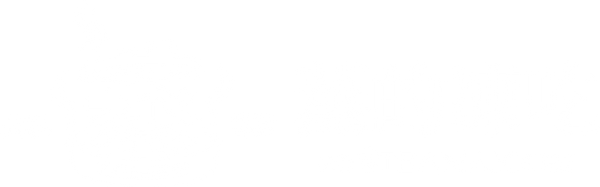 steamaxx